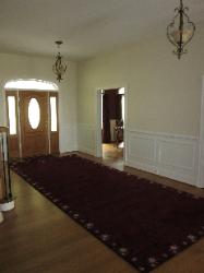 Custom Bordered Area Rug