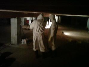 Mold Remediation in Sealed Crawl Space