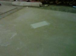 Cleaned Spot in Center of Nylon Area Rug